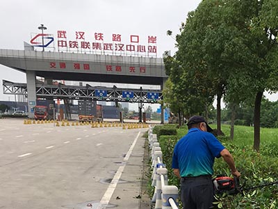 绿化养护 (400x300).jpg